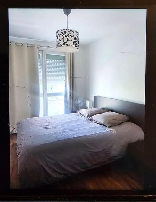 Chez Pascal Sissi -Grand Appart,Ile Nantes, Ccgres Luaran gambar